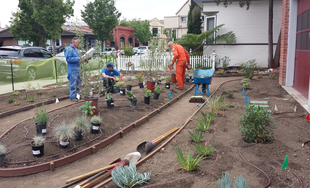 Sustainable Garden Design and Efficient Irrigation at Campbell’s Roots