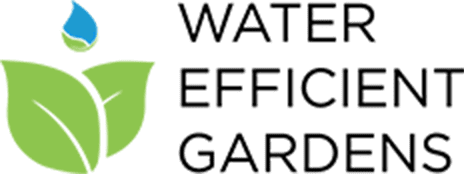 From Dreams to Reality: Celebrating Success in Water-Efficient Gardening