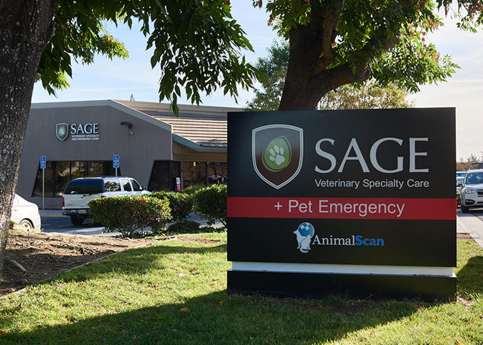 Emergency and Specialty Care at SAGE Veterinary Centers – Campbell